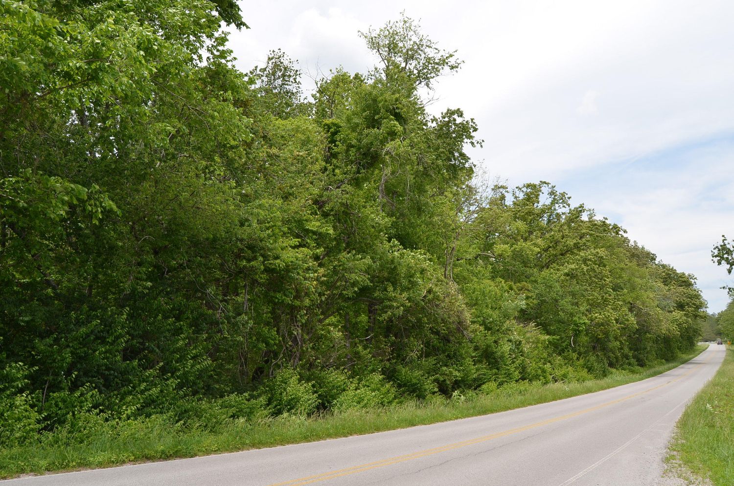 Cook Rd: Cook Rd, Crossville, TN 38555